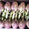 Carciofi