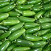 jalapeno chile