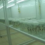 masterseed farm amp nursery 2
